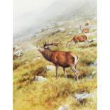 Rodger McPhail. Game Birds and Wildlife, a Set of Six limited Edition Prints, Signed in Pencil by