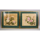 A PAIR OF JAPANESE PAINTINGS ON SILK OF FLORA, both finely painted to depict chrysanthemum