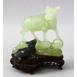 A GOOD CHINESE CARVED JADE / HARDSTONE FIGURE OF A COW AND CALF, stood on a fitted hardwood base,