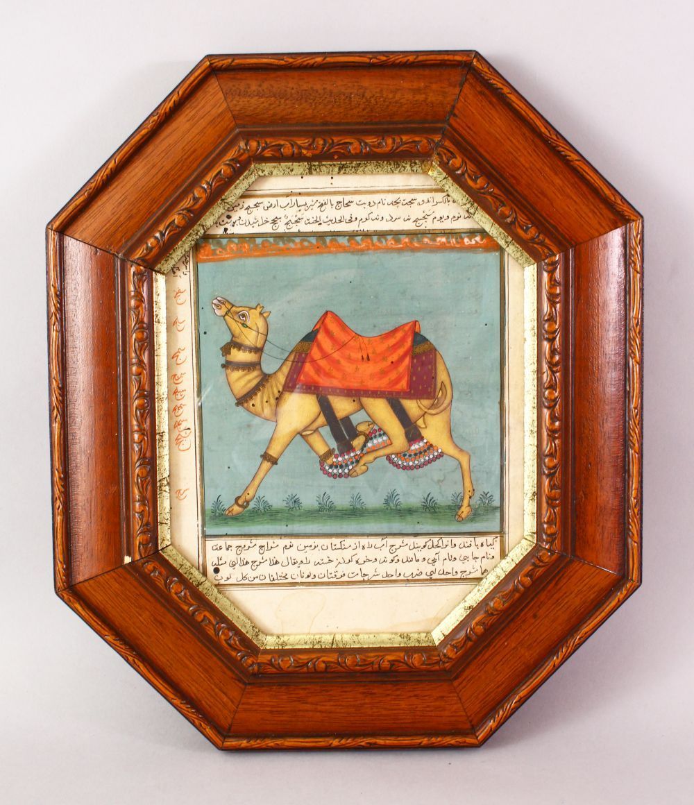 A GOOD 18TH / 19TH CENTURY FRAMED INDIAN MUGHAL / PERSIAN PAINTING OF A CAMEL, the camel painted