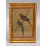 A GOOD FRAMED MINIATURE COLOURING OF TWO BIRDS UPON BRANCH, 24cm x 16cm.