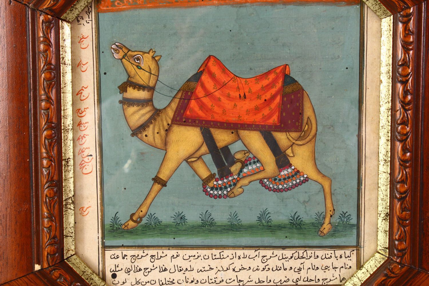 A GOOD 18TH / 19TH CENTURY FRAMED INDIAN MUGHAL / PERSIAN PAINTING OF A CAMEL, the camel painted - Image 2 of 6