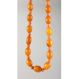 A CORAL AND BUTTERSCOTCH AMBER NECKLACE with gold fastener.