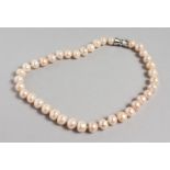 A PINK PEARL NECKLACE, with magnetic clasp. 17ins long.