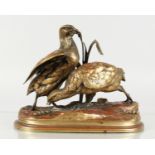 JULES MOIGNIEZ (1835-1894) FRENCH. A good small rouge patinated bronze of a pair of game birds