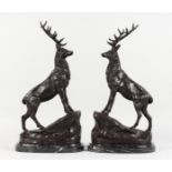 AFTER MOIGNIEZ, A PAIR OF SMALL BRONZE STAGS ON ROCKS mounted on marble bases. 17ins high.