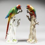 TWO SUPERB 19TH CENTURY MEISSEN COLOURFUL PARROTS standing on tree stumps, one decorated. Cross