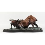 A GOOD LARGE PAINTED BRONZE MODEL OF MOOSE IN A RIVER, mounted on a marble base. 24ins long.