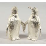 A PAIR OF NOVELTY PENGUIN SALT AND PEPPER.