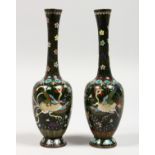 A SMALL PAIR OF JAPANESE CLOISONNE BOTTLE VASES. 7ins high.