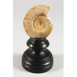 A SMALL FOSSILIZED AMMONITE SPECIMEN on a stand.