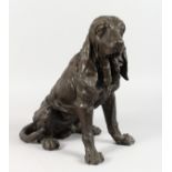 A BRONZE OF A SEATED BLOODHOUND. 14ins high.