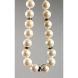 A PEARL NECKLACE, interspersed with small diamonds, white a white gold clasp. 17ins long.