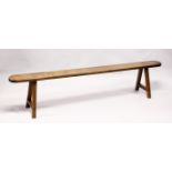 A 19TH CENTURY ELM TRESTLE BENCH, single plank construction, rounded ends on stretchered square