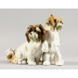 A CONTINENTAL PORCELAIN GROUP OF TWO DOGS. 6ins high.