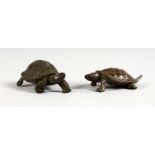 TWO JAPANESE BRONZE MINIATURE TORTOISES. 2.25ins long.