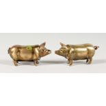 A SMALL PAIR OF VICTORIAN BRASS PIG VESTAS. 2ins long.