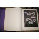 [BOTANY] The Japanese Iris: Its History, Varieties, and Cultivation. large folio, decorated cloth