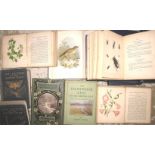 [NATURAL HISTORY] small q. misc. incl. SWAYSLAND, Familiar Wild Birds, 4 vols. (Q).