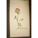 ARTWORK, an album of 1930's & 1940's original pen & watercolour work, mostly botanical.