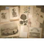 [PRINTS] coll'n of engr. plates, incl. NATURAL HISTORY, MEDICAL, PORTRAIT etc.