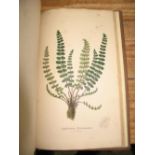 [FERNS] SOWERBY (J.) & JOHNSON (C.) Ferns of Great Britain, 8vo, 49 h-col'd plates, cloth (spine