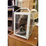A stuffed and mounted owl in a display case.
