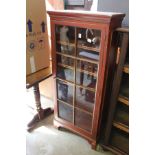 A painted single door display cabinet / bookcase.