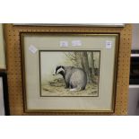 Stephen Gawford "A Study of Badger in a Woodland Setting" watercolour, signed.