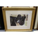 Steven Townsend - "Bill", a limited edition colour print of collie dog, pencil signed.