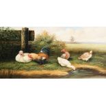 20th Century. A Scene of Chicken and Ducks in a Landscape, Oil on Canvas, Indistinctly Signed. 10" x