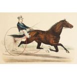 'St Julien'. A Scene of a Racing Horse and Carriage, a Print, Published by Currier & Ives, 11" x