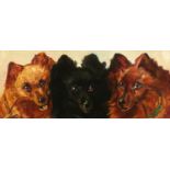 19th Century School. A Study of Three Dog's Heads, Oil on Canvas. 6" x 14".