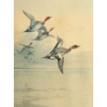 A Thorburn Print of Migrating Ducks, Signed in Pencil, 16" x 12".