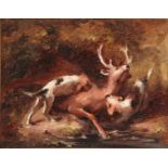 Charles Mezzara (19th Century) French. A Study of Two Dogs bringing down a Deer, Oil on Canvas