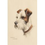 Mercy Creed, Circa 1920. Study of a Terrier, Pencil and Watercolour, Signed. 5" x 3.5".