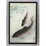 A GOOD EARLY - MID 20TH CENTURY JAPANESE WOODBLOCK PRINT OF SWIMMING CARP BY KOSON, framed 37cm x