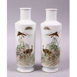A GOOD PAIR OF EARLY 20TH CENTURY CHINESE FAMILLE ROSE PORCELAIN VASES, decorated with birds in