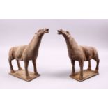 A GOOD PAIR OF CHINESE TANG / STYLE POTTERY HORSE FIGURES, both with heads aloft, the bases with
