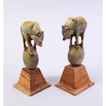 A PAIR OF CARVED HORN WOLF FIGURES, stood on balls mounted to wooden bases, 15.5cm.