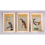 THREE GOOD 19TH / 20TH CENTURY INDO / PERSIAN MINIATURE PAINTINGS OF BIRDS, painted finely on
