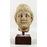 AN EARLY CARVED STONE BUST. 10ins.
