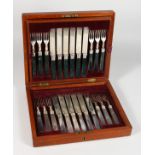 A CANTEEN OF TWELVE VICTORIAN SILVER DESSERT KNIVES AND FORKS, half with bloodstone handles, the