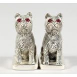 A PAIR OF .925 SILVER DOGS SALT AND PEPPER.