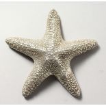 A SILVER STARFISH.