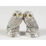 A PAIR OF .925 SILVER OWL SALT AND PEPPER.