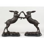 A PAIR OF BRONZE "BOXING HARES", on marble bases. 12ins high.