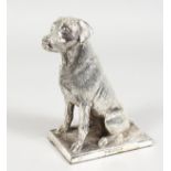 A SILVER MODEL OF A LABRADOR on a rectangular base. 6ins high.