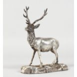A SILVER MODEL OF A STAG on a rectangular base. 5.5ins high.
