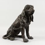 A CAST BRONZE MODEL OF A SEATED BLOODHOUND. 14ins high.